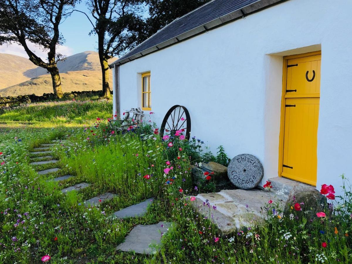 Thistle Thatch Cottage And Hot Tub - Mourne Mountains ニューカッスル エクステリア 写真