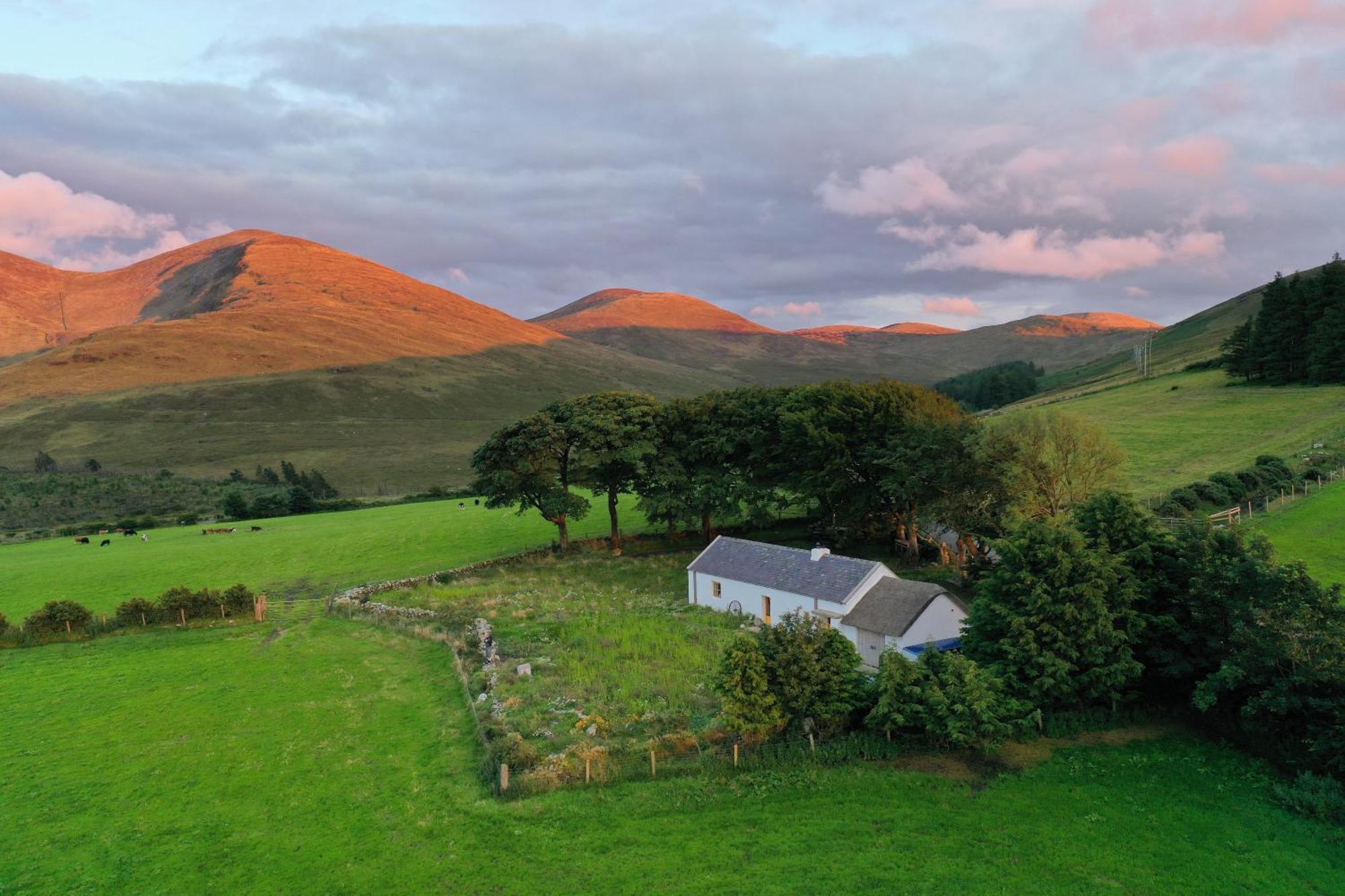 Thistle Thatch Cottage And Hot Tub - Mourne Mountains ニューカッスル エクステリア 写真