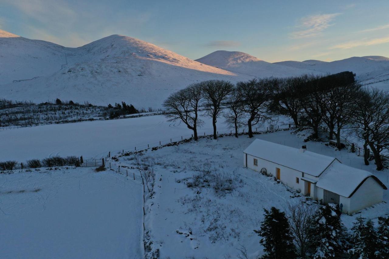 Thistle Thatch Cottage And Hot Tub - Mourne Mountains ニューカッスル エクステリア 写真