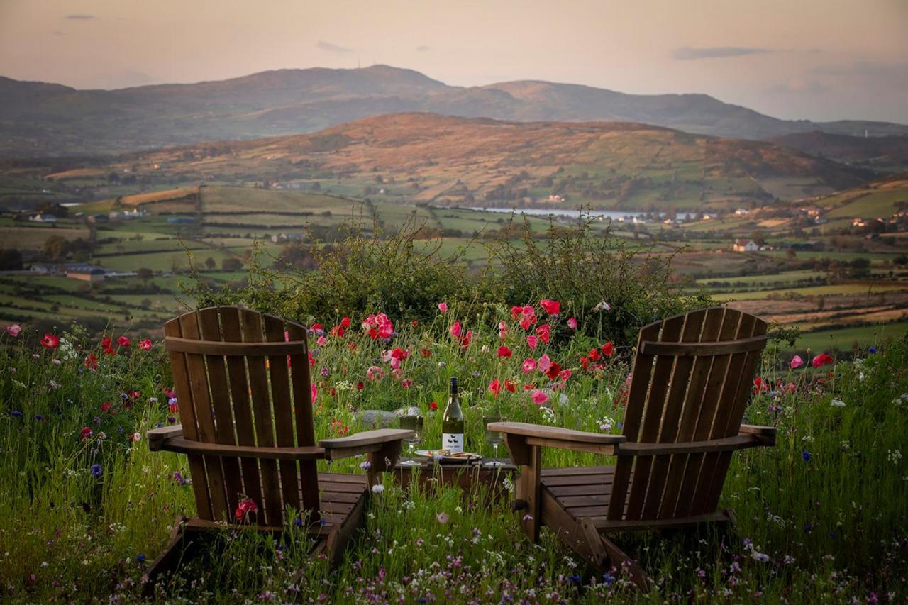 Thistle Thatch Cottage And Hot Tub - Mourne Mountains ニューカッスル エクステリア 写真