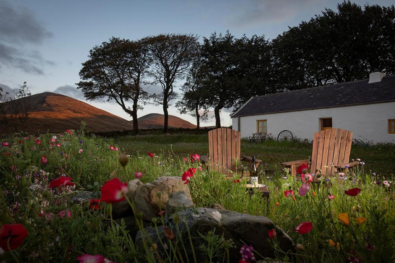 Thistle Thatch Cottage And Hot Tub - Mourne Mountains ニューカッスル エクステリア 写真
