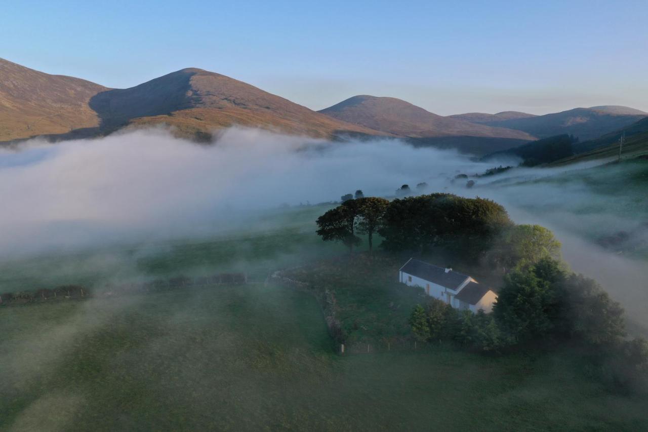 Thistle Thatch Cottage And Hot Tub - Mourne Mountains ニューカッスル エクステリア 写真